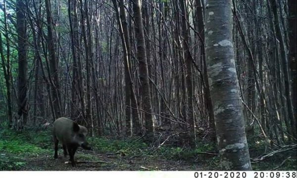 Escalada con Lupa y Pesca. 2 dias 1 noche - Imagen 17