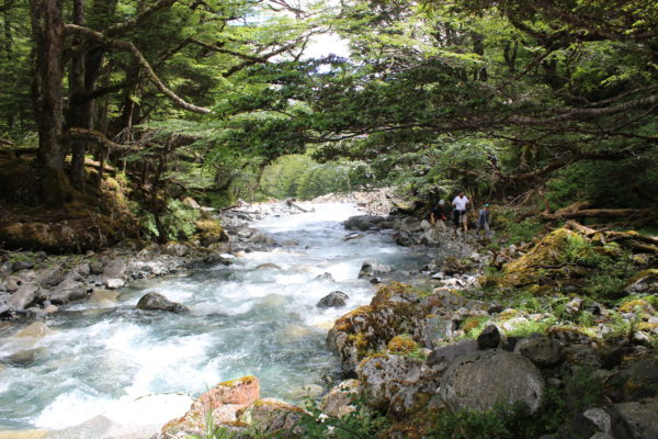 Bahía Murta  Trekking  - Cabalgata  Torres  del Avellano 6  Días 5 Noches - Imagen 5